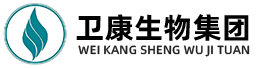 網(wǎng)站Logo